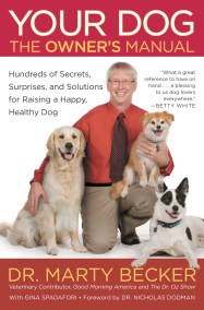 Your Dog: The Owner’s Manual