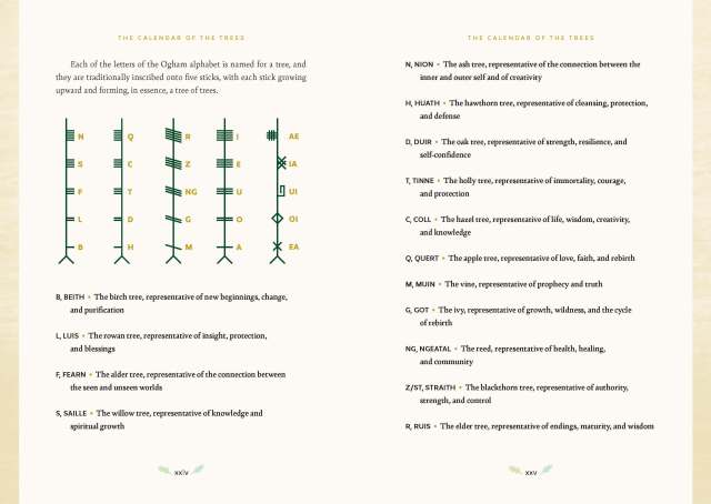 Interior spread from “Forest Magic” showing information about the Ogham alphabet