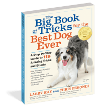 The Big Book of Tricks for the Best Dog Ever