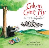 Calvin Can’t Fly