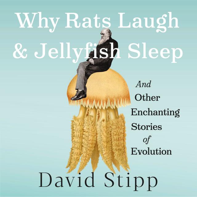 Why Rats Laugh and Jellyfish Sleep