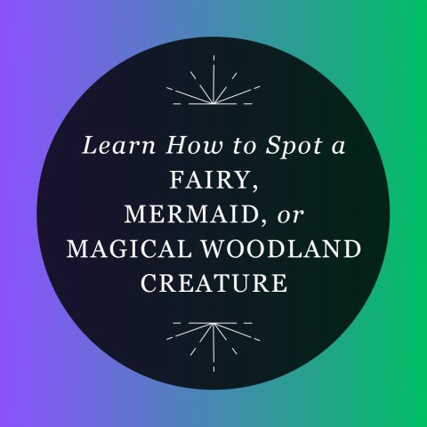 Learn How to Spot a Fairy, Mermaid, or Magical Woodland Creature