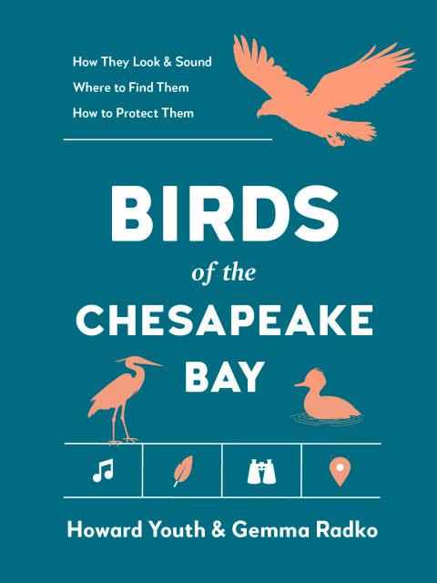 Birds of the Chesapeake Bay